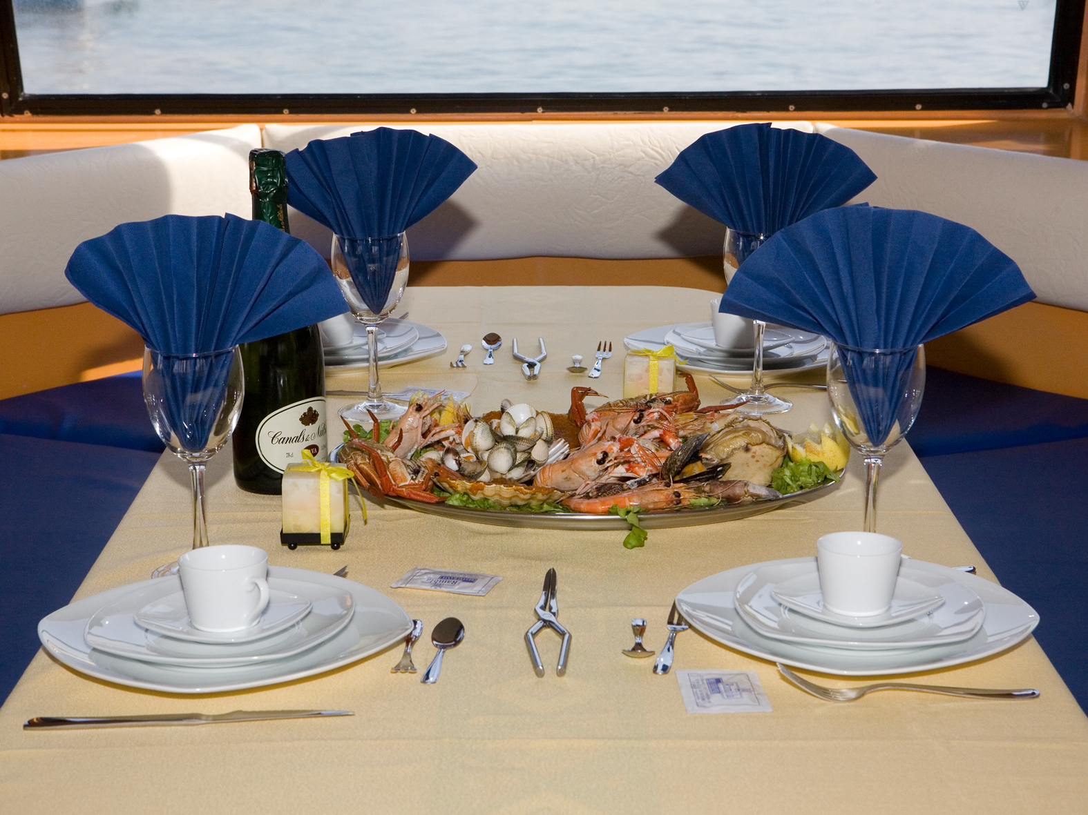 flydelfin_07_nocturnas_IMG_9057