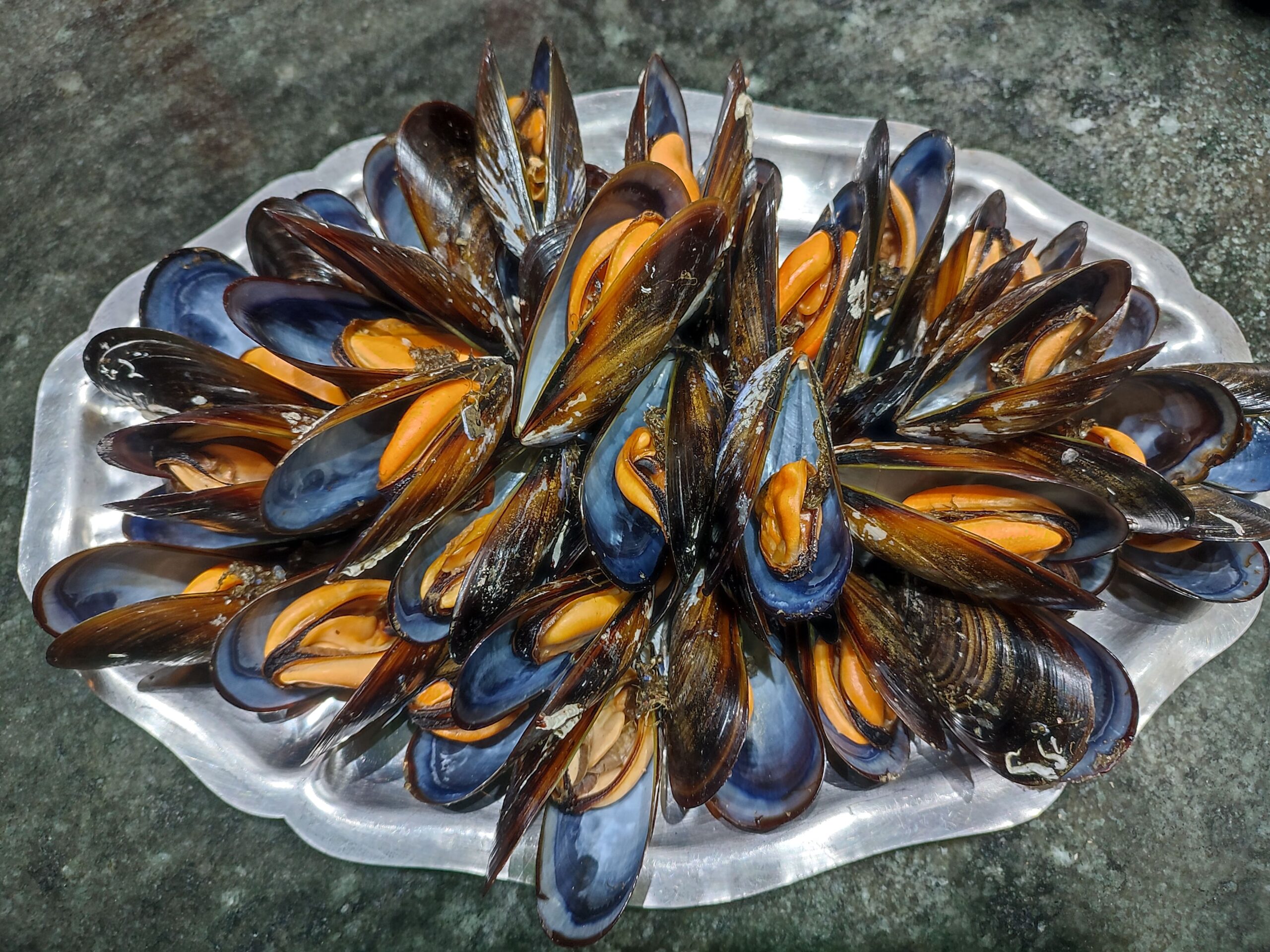 fuente mejillones