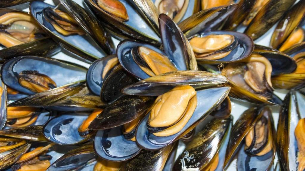 uploaded_image_67d9960879429