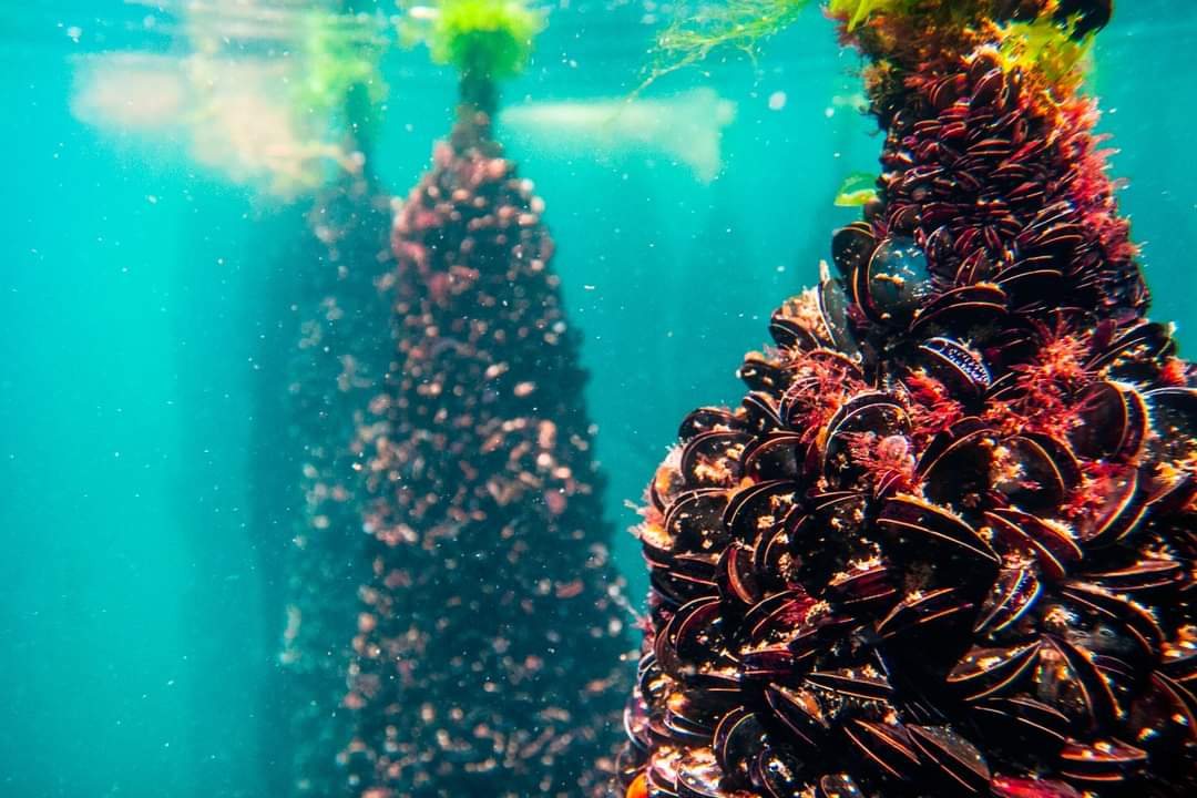 uploaded_image_67d9964423159