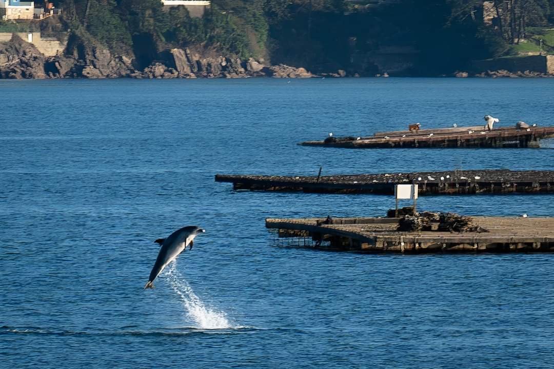 uploaded_image_67d9967240811